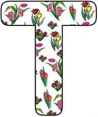 Tulpen-Buchstabe-T.jpg